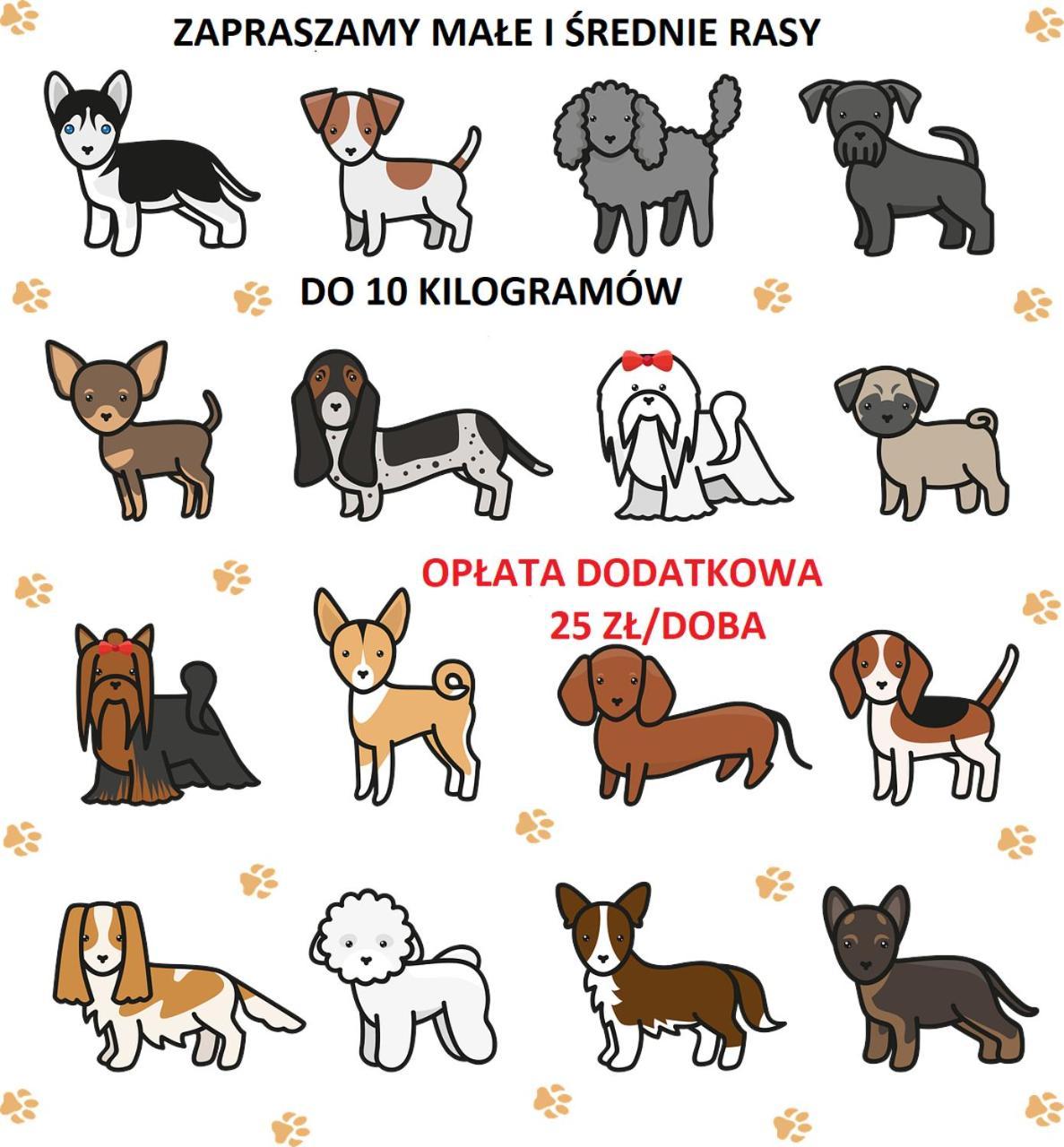 Apartamenty Debina Debina  Zewnętrze zdjęcie